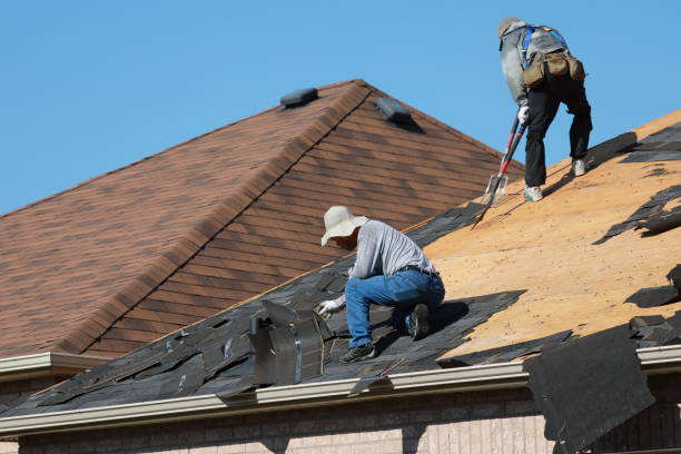 Best Steel Roofing  in Snead, AL